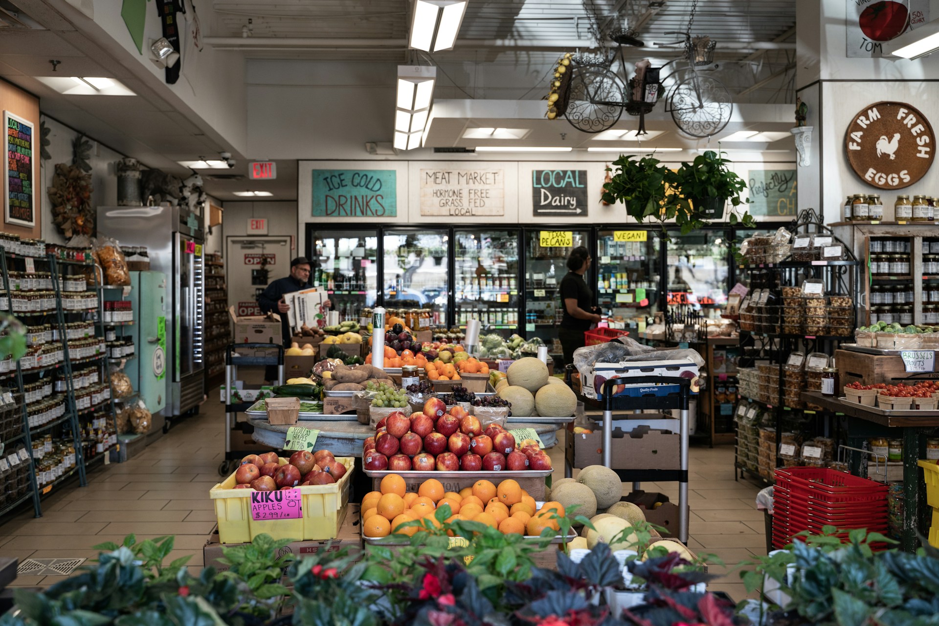 Small display of potted plants near the entrance of a grocery store