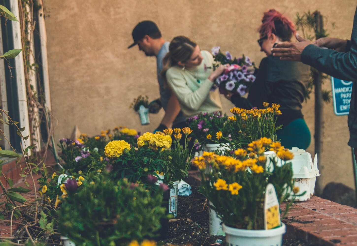 People gathered outdoors exchanging small potted plants and cuttings